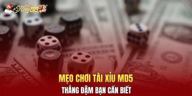 Mẹo chơi tài xỉu MD5 thắng đậm bạn cần biết