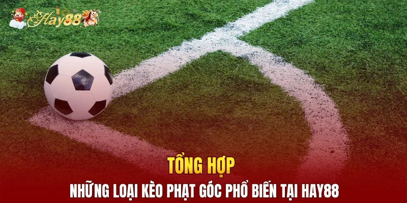 Tổng hợp những loại kèo phạt góc phổ biến tại Hay88